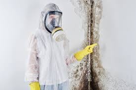 Best Air Quality Testing for Mold Spores  in Madera, CA